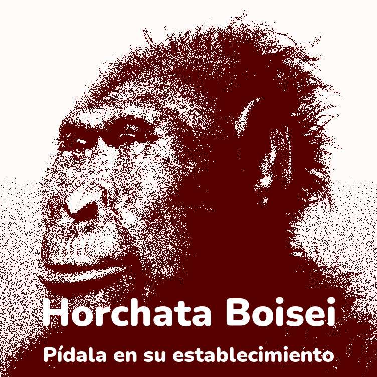 Publicitat Orxata Boisei